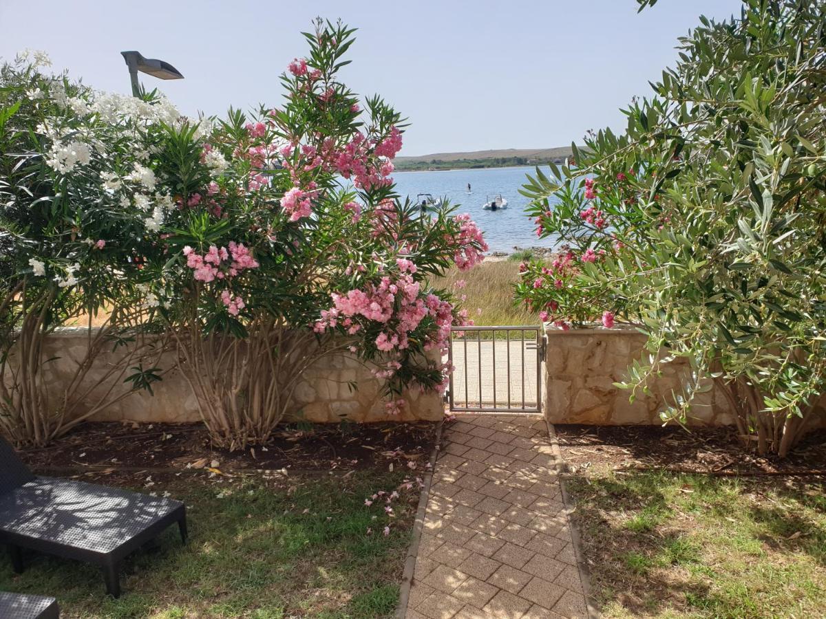 Summertime Apartmani Povljana Luaran gambar