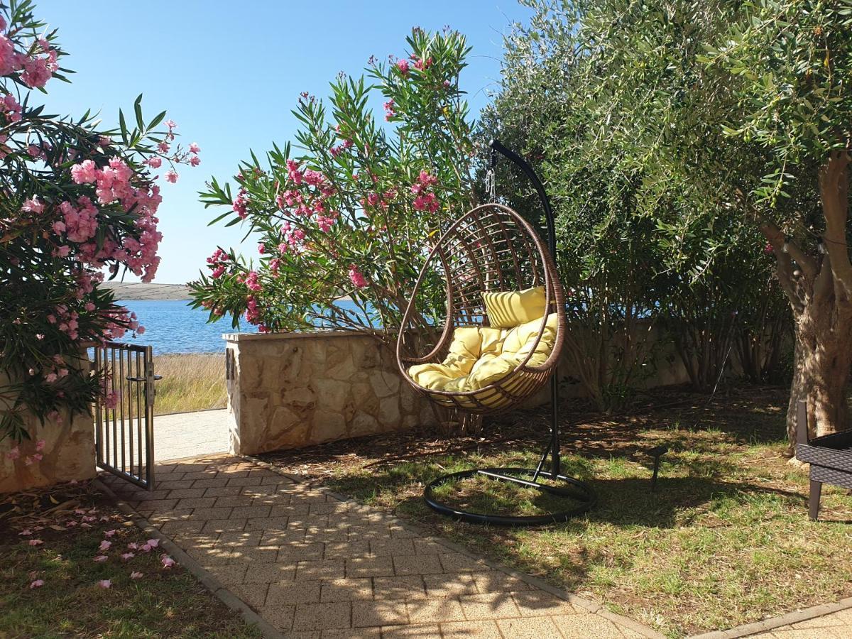 Summertime Apartmani Povljana Luaran gambar