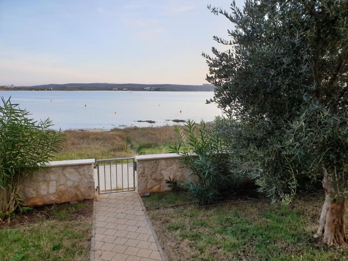 Summertime Apartmani Povljana Luaran gambar